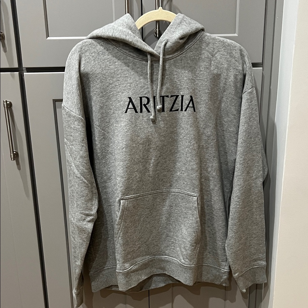 Aritzia Heather Gray Hoodie